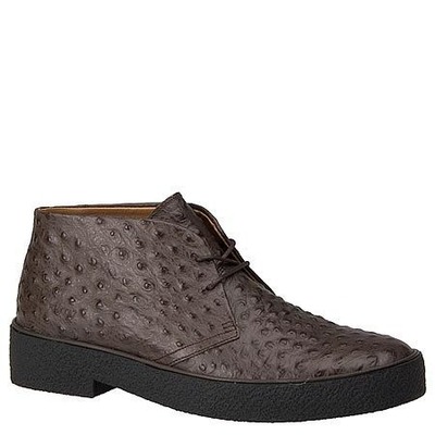 RJ Colt Detroit Ostrich Print Brown